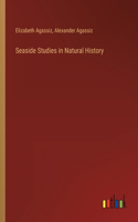Seaside Studies in Natural History