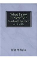 What I saw in New-York Or, A bird's eye view of city life: (English)