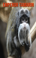 Emperor Tamarin: Beautiful Pictures & Interesting Facts Children Book About Emperor Tamarin