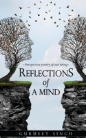 Reflections of a Mind