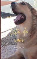 Vita da cani