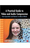 A Practical Guide to Video and Audio Compression