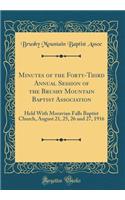 Minutes of the Forty-Third Annual Session of the Brushy Mountain Baptist Association: Held With Moravian Falls Baptist Church, August 21, 25, 26 and 27, 1916 (Classic Reprint)