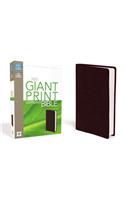 Compact Bible-NIV-Giant Print