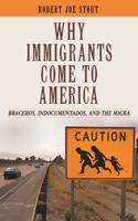 Why Immigrants Come to America