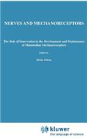 Nerves and Mechanoreceptors: The Role of Innervation in the Development and Maintenance of Mammalian Mechanoreceptors