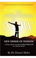 The Consciousness of Now
