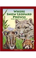 Where Snow Leopard Prowls