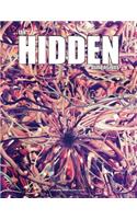 The Hidden Dimensions