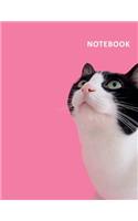 College Ruled Notebook: Inquisitive cat Petite Composition Book Daily Journal Notepad Diary for notes on caring for newborn kittens and mother