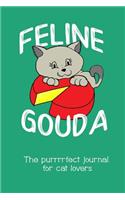 Feline Gouda