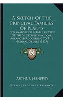 Sketch of the Principal Families of Plants