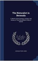 The Naturalist in Bermuda