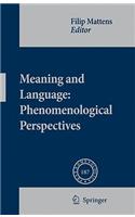 Meaning and Language: Phenomenological Perspectives