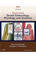 Illustrated Dental Embryology, Histology, and Anatomy