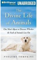 The Divine Life of Animals