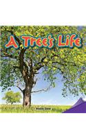 A Tree's Life