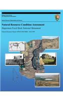 Natural Resource Condition Assessment