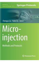 Microinjection