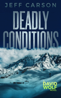 Deadly Conditions: (4 David Wolf Mystery Thriller)
