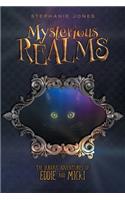Mysterious Realms: The Dubious Adventures of Eddie and Micki