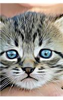 Drawing of a Sweet Little Striped Tabby Kitten Illustration Art Journal: 150 Page Lined Notebook/Diary