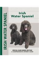 Irish Water Spaniel