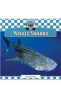 Whale Sharks