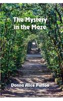 The Mystery in the Maze
