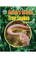 Guam's Brown Tree Snakes