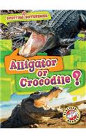 Alligator or Crocodile