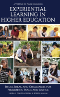 Experiential Learning in Higher Education