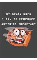 My brain when i try to remember anything important