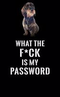 What The F*CK Is My Password, Wirehaired Dachshund