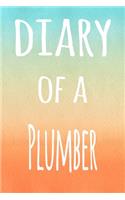 Diary of a Plummer: The perfect gift for the professional in your life - 119 page lined journal