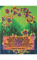 Big Kids Coloring Book