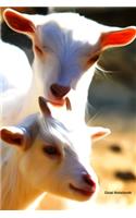 Goat Notebook
