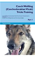 Czech Wolfdog (Czechoslovakian Vlcak) Tricks Training Czech Wolfdog Tricks & Games Training Tracker & Workbook. Includes: Czech Wolfdog Multi-Level Tricks, Games & Agility. Part 1