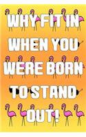 Why Fit in When You Were Born to Stand Out
