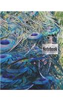 Notebook: 150 Page, 8x10 Inch College Ruled Composition Notebook For Writing. Great For Teenagers (peacock)
