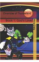 Chronicles of Thunderbird