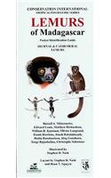 Lemurs of Madagascar: Diurnal and Cathemeral Lemurs