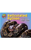 Reticulated Python