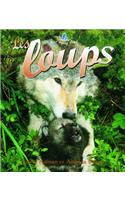 Les Loups