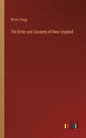 Birds and Seasons of New England