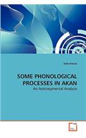 Some Phonological Processes in Akan