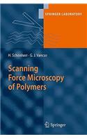 Scanning Force Microscopy of Polymers