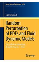 Random Perturbation of Pdes and Fluid Dynamic Models
