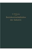 Betriebswirtschaftslehre der Industrie