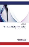 Mandibular First Molar